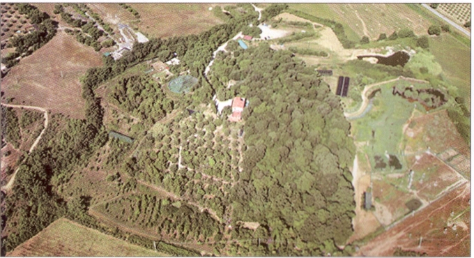Carapax from the air