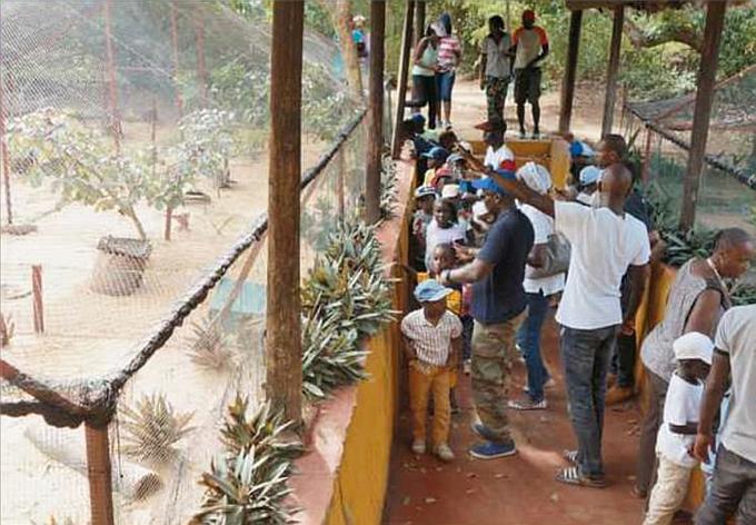 Many local school classes and their teachers are now visiting the Sulcata Tortoise Village