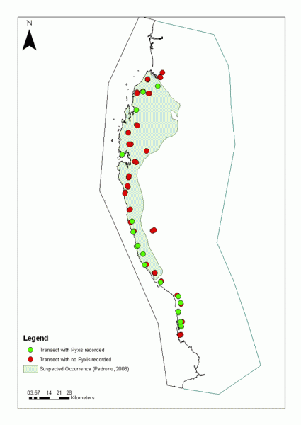 Fig. 2. South west Madagascar. Suspected area of occurrence of <I>P. a. brygooi</I> (Pedrono, 2008; Bour, 1981), with survey locations overlaid.