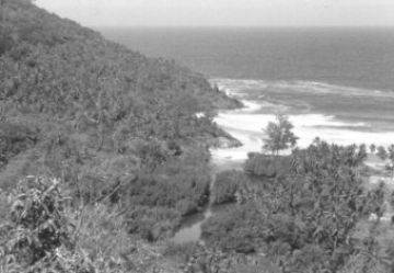 Grand Barbe on Silhouette