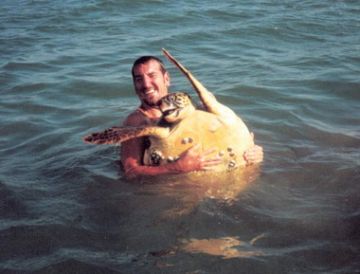 Catching a Turtle to tag, Amvrakikos.