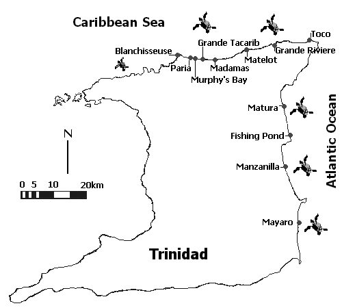 Marine Turtle Nesting Beaches