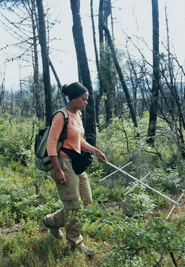 Photo 5. Searching for tortoises.