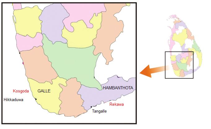 Figure 1. Map showing the TCP in situ marine turtle conservation sites (in red text) in Sri Lanka.