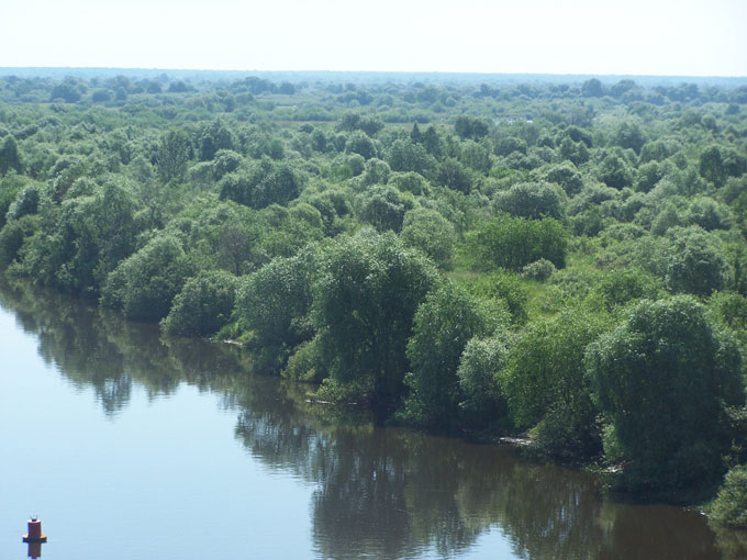 Fig. 3. The Polesye region, where one of the biggest Belarussian populations of <i>E. orbicularis </i>is located.