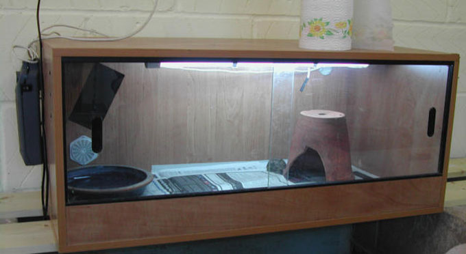 Fig. 1. The vivarium set-up.