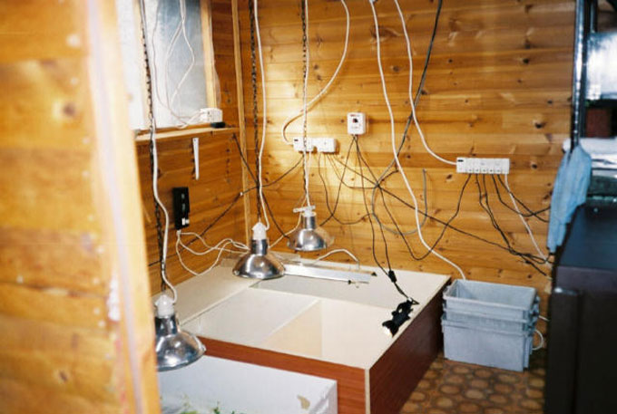 Fig. 2. The shed set-up.