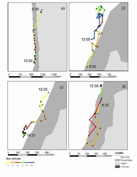 Fig. 13. Examples of extended tracks conducted during survey (LRA, Belize, May 2009).