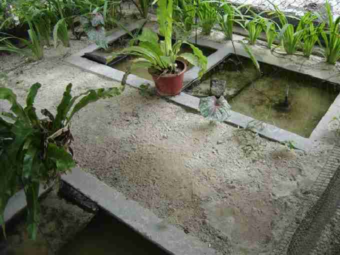 Fig. 2. Seychelles terrapin breeding facility.