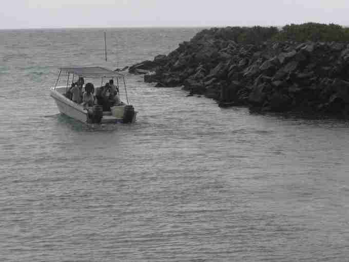Fig. 9. Sending tortoises to North island.