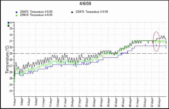 Fig. 11. Temperature profiles from first loggerhead nest of 2009 with data loggers at top (black), middle (green) and bottom (blue) of nest. Dashed line represents pivotal temperature for sex ratio. Oval indicates peak in temperatures.