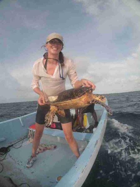 Fig. 8. Release of a juvenile hawksbill turtle at its capture location.