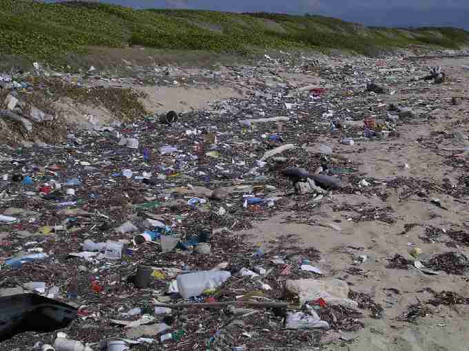 Fig. 2. View of Mosquea beach (east JNP), an important nesting area for leatherbacks.
